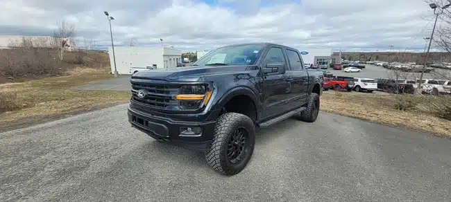 Ford F-150 EcoBoost vs 5.0L V8 2025 Comparison