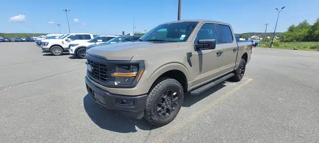 The 2025 Ford F-150
